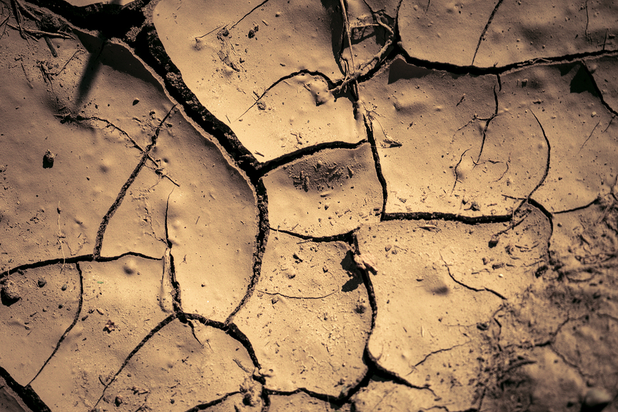 Cracks In The Earth's Crust