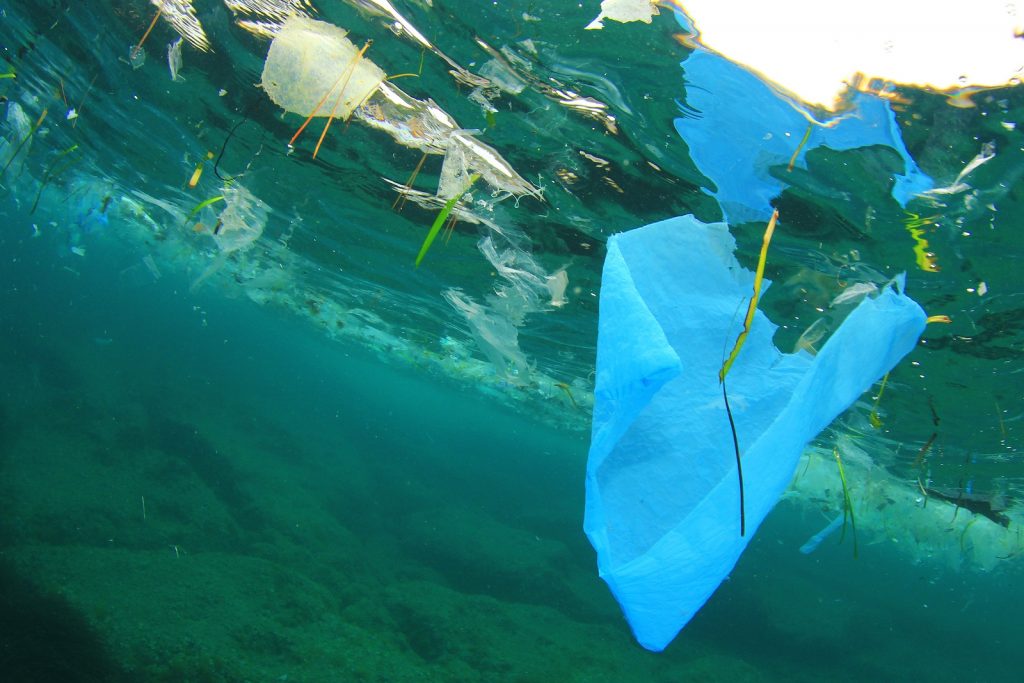 Are biodegradable plastics actually good for the environment? ♻CW