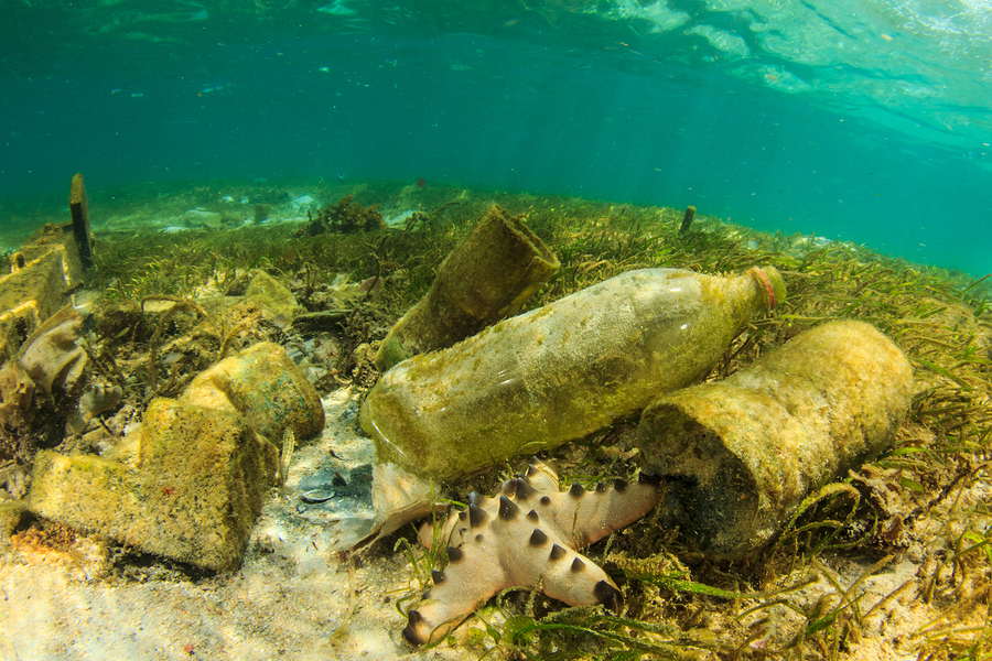 Plastic bottles and rubbish pollution in ocean