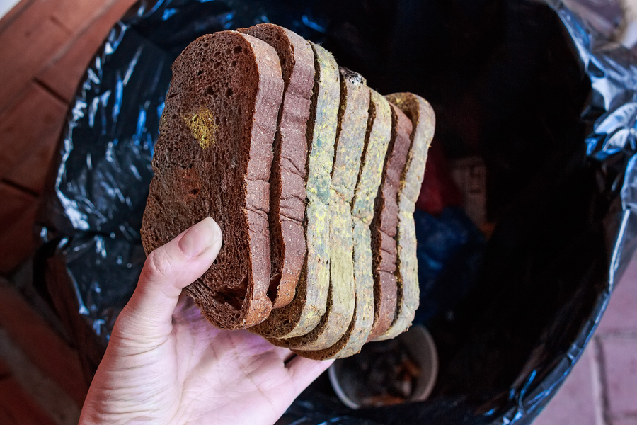 Close up of female hand holding slices of molded rye bread above garbage bin