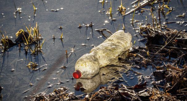 A plastic bottle polluting a river in Europe.