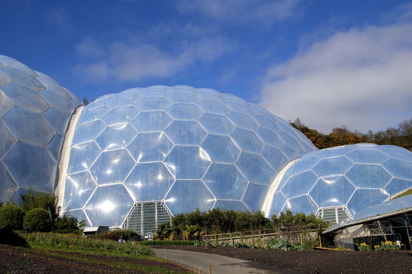 Eden Project indoor rainforest