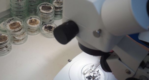 microplastic analysis microscope