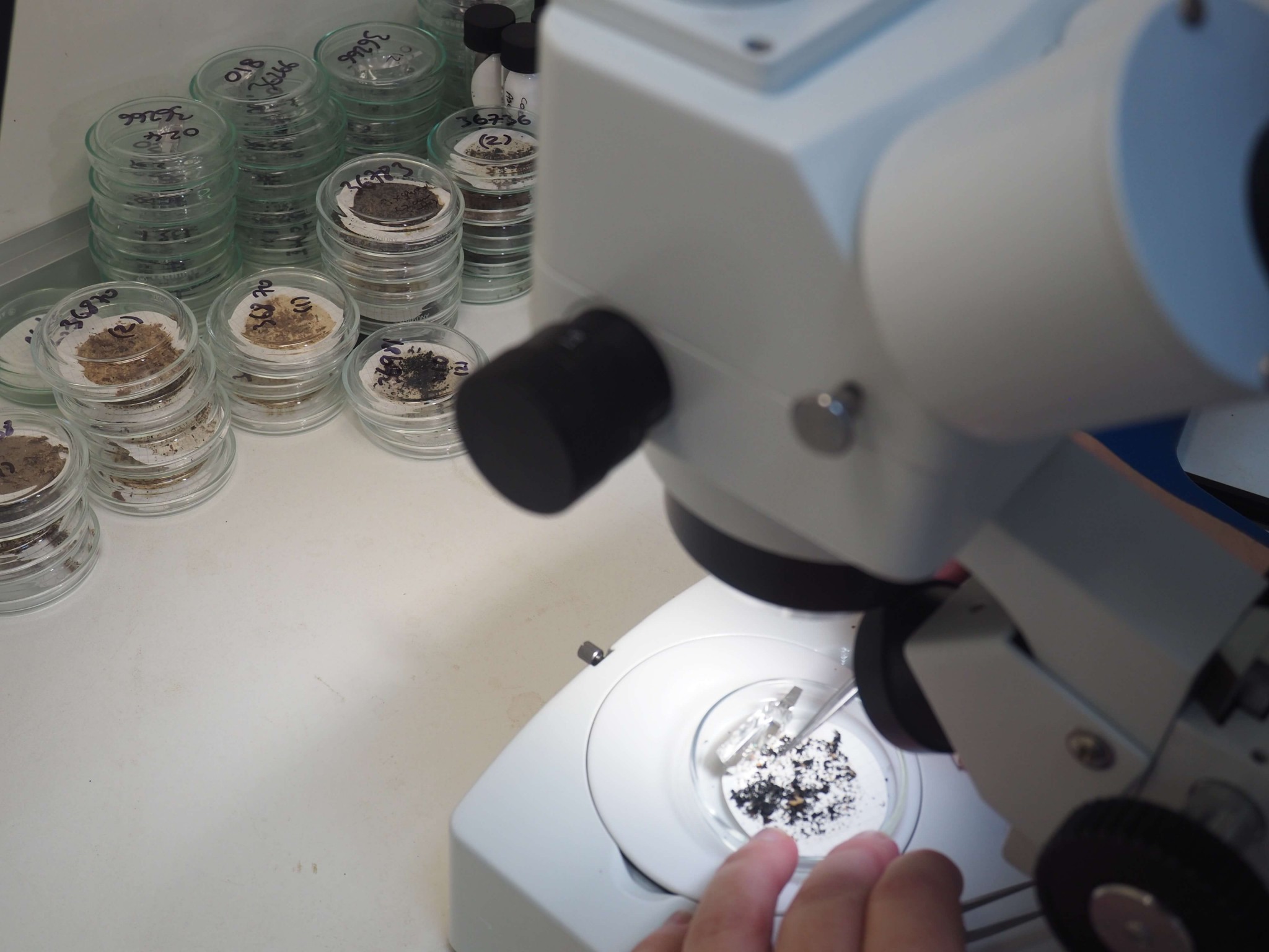 microplastic analysis microscope