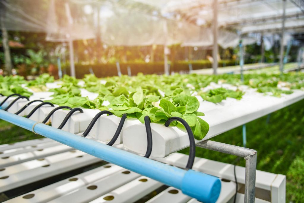 Vertical farm