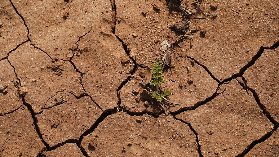 Climate change drought land. Global warming issue, cracked mud in the bottom of a river