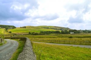 Eccleston nature photo