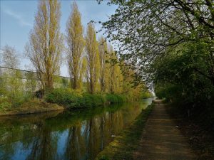 Canal photo