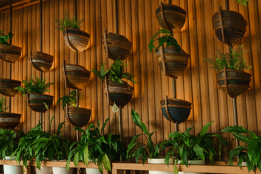 Cafe interior with elements of biophilic design. The concept of biophilia.