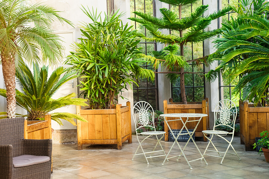   Save Download Preview Metal garden furniture, stools and table standing in tropical plants orangery with palms in wooden flowerbeds. Relaxing time in biophilic interior style. Greenhouse cafe concept.